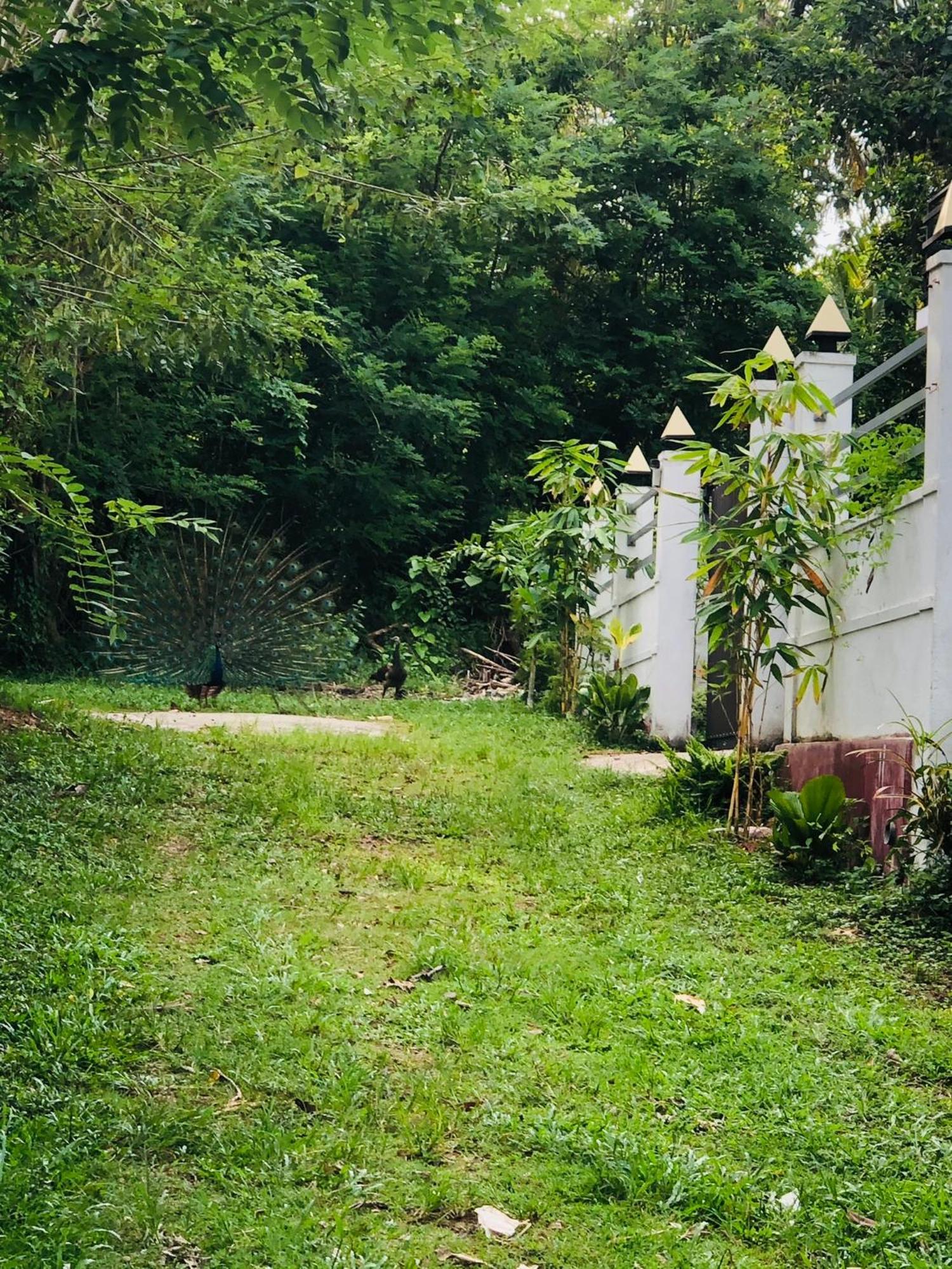 Lanka Villa Мириса Екстериор снимка